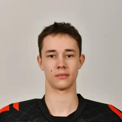 Panin Andrei Romanovich