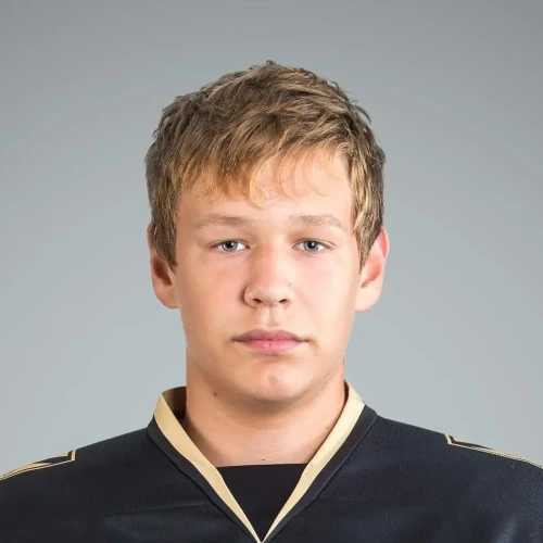 Varichenko Aleksandr Denisovich