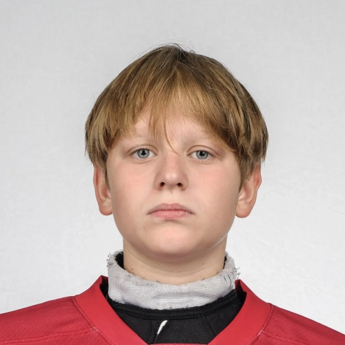 Zolochevskii Artem Vitalevich