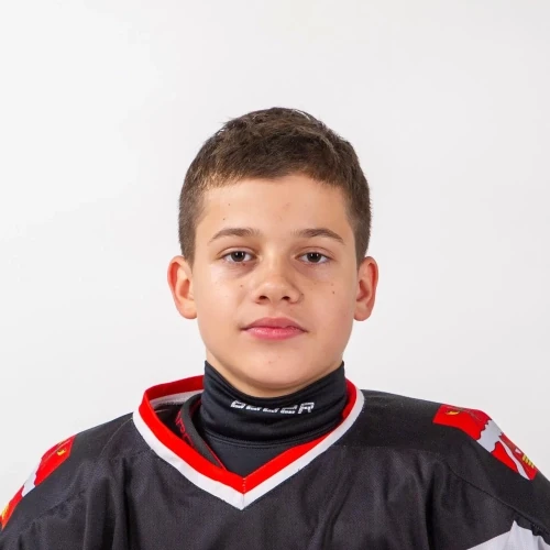 Gubarenko Dmitrii Evgenevich