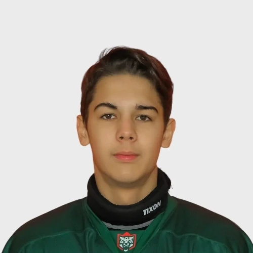 Sabirzyanov Bulat Alfirovich