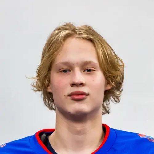 Hababutdinov Nikita Anatolevich