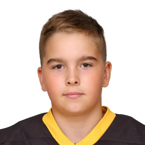 Bronzov Ilya Nikitich