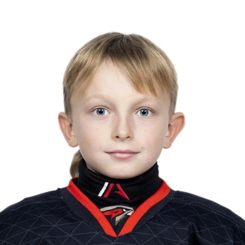 Sosnin Georgii Aleksandrovich