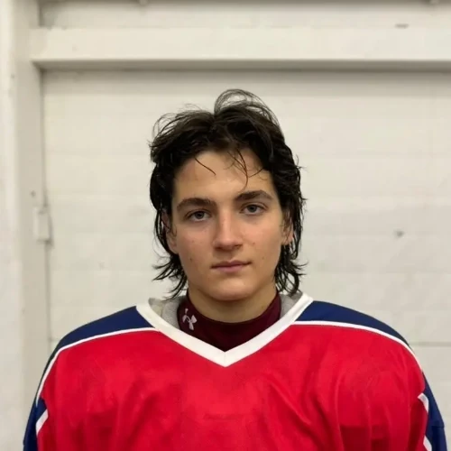 Subbotin Danila Nikolaevich