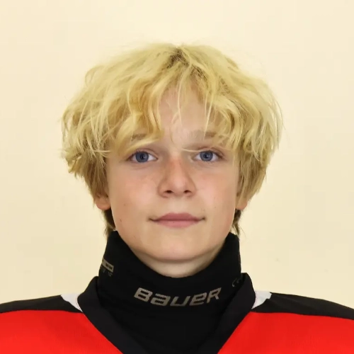 Sharapov Danil Alekseevich