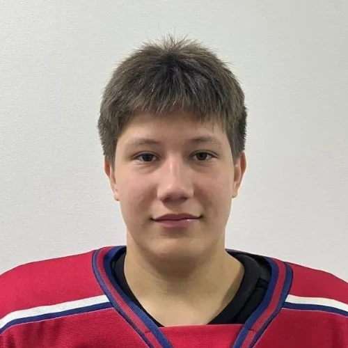 Idiyatullin Yaromir Shaukatovich