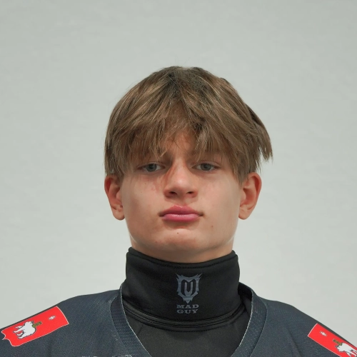 Fedoseenko Matvei Viktorovich