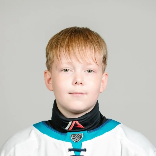 Dmitriev Roman Dmitrievich
