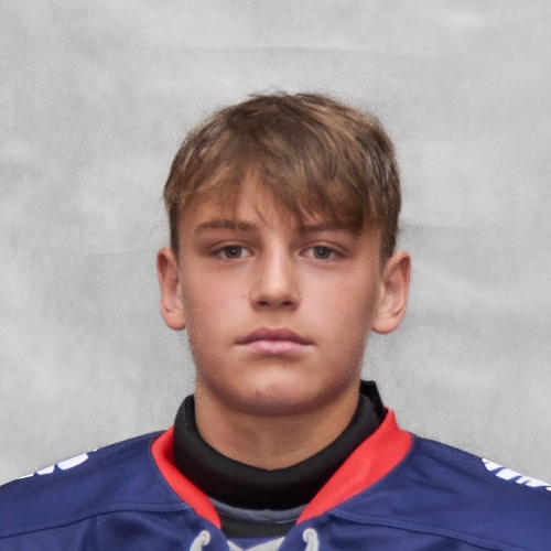 Bolotov Vladislav Nikolaevich