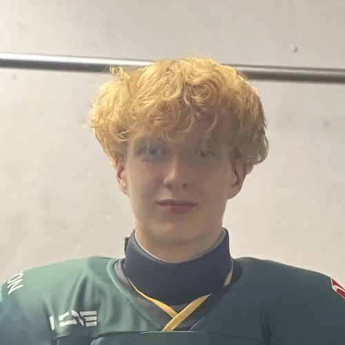 Nerublenko Timur Denisovich