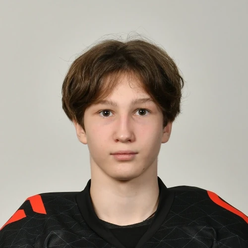 Cherepanov Dmitrii Anatolevich