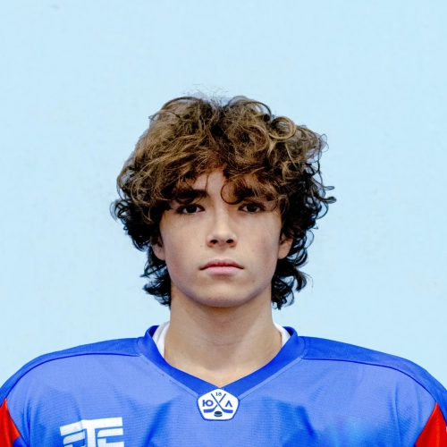 Emelyanov Aleksei Pavlovich