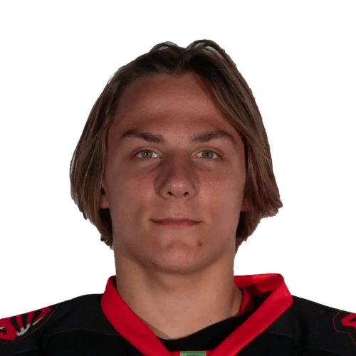 Staroverov Roman Yurevich
