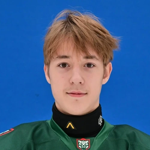 Sidorov Vladimir Andreevich