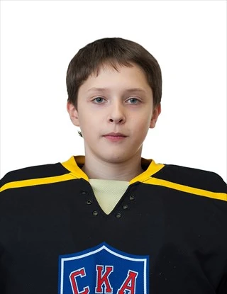 Aleksanyan Artur Gagikovich