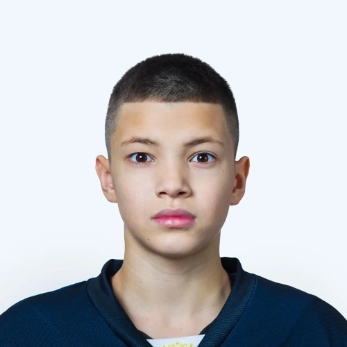 Zaripov Daniil Emilevich