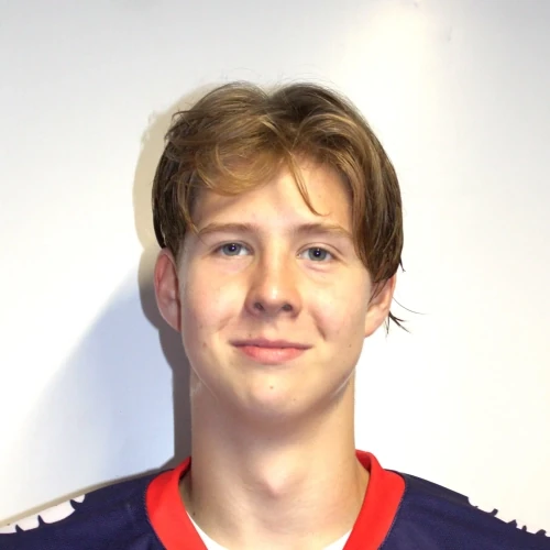 Sergienko Arsenii Bogdanovich