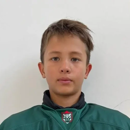 Habibullin Karim Radisovich