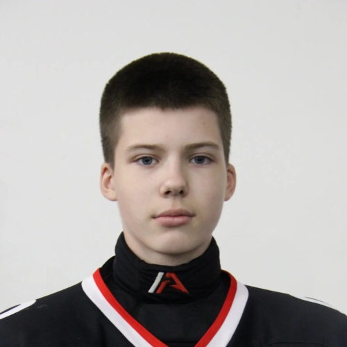 Alekseev Dmitrii Evgenevich