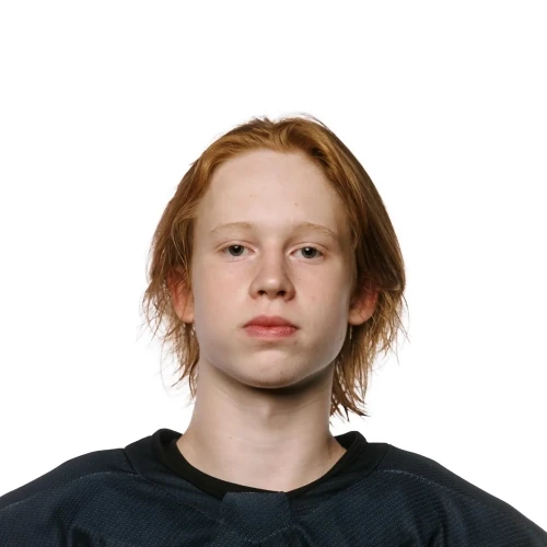 Alenin Aleksei Denisovich