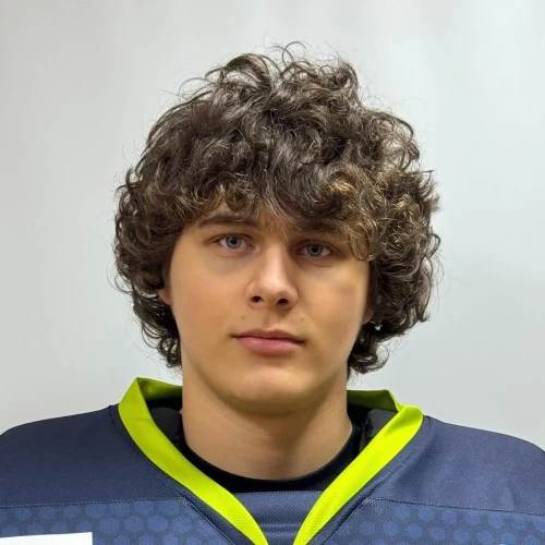 Sadovoi Dmitrii Sergeevich