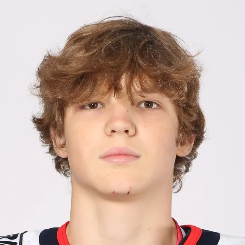 Patranin Artem Denisovich