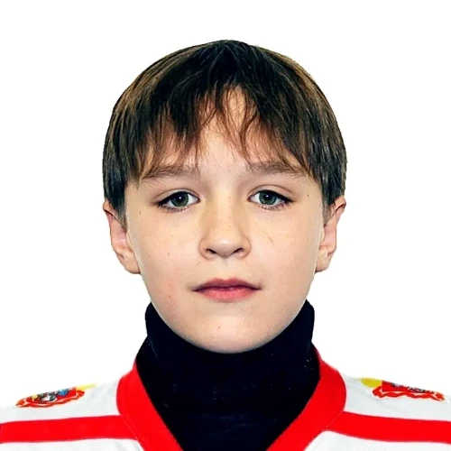 Gavrikov Arsenii Yurevich