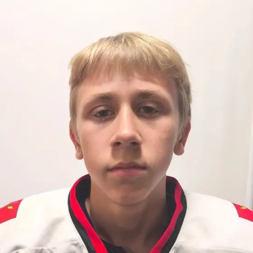 Burmatov Nikita Olegovich