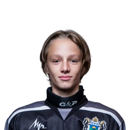 Gamanyuk Ilya Dmitrievich