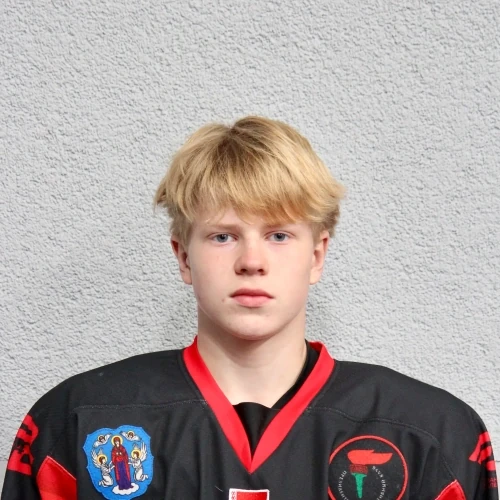 Karpovich Vladislav Vadimovich