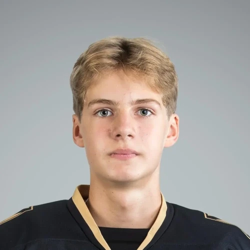 Mihailovskii Bogdan Yanovich