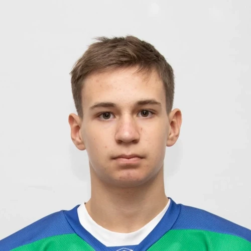 Chernov Denis Dmitrievich