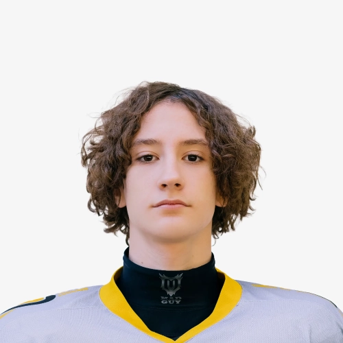 Shevlyagin Artem Denisovich