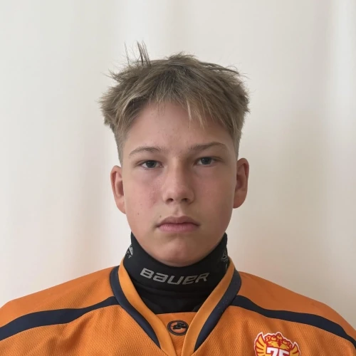 Laponov Artem Dmitrievich