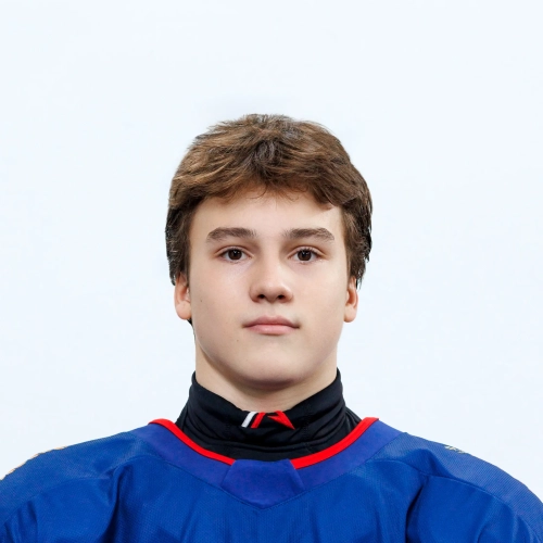 Alekseev Denis Aleksandrovich