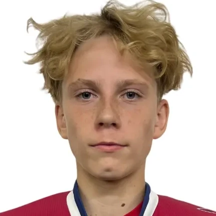 Bastrygin Stepan Nikolaevich