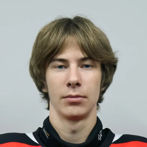 Zaitsev Artem Konstantinovich