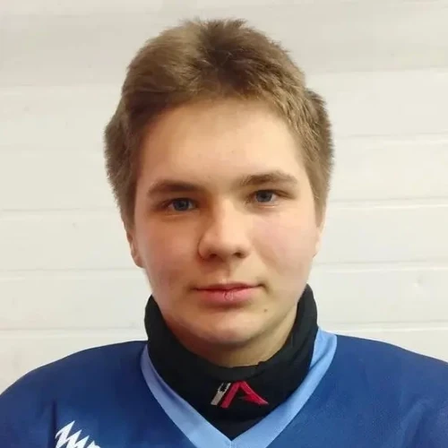 Sergeev Nikita Sergeevich
