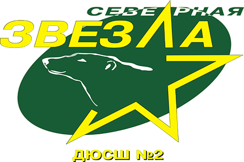 Северная Звезда 2012