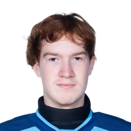 Permenev Nikita Maksimovich