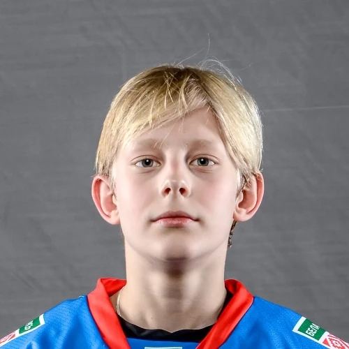 Metelskii Dmitrii Vladimirovich