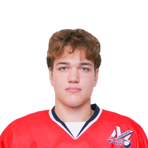 Pustovoi Aleksei Alekseevich