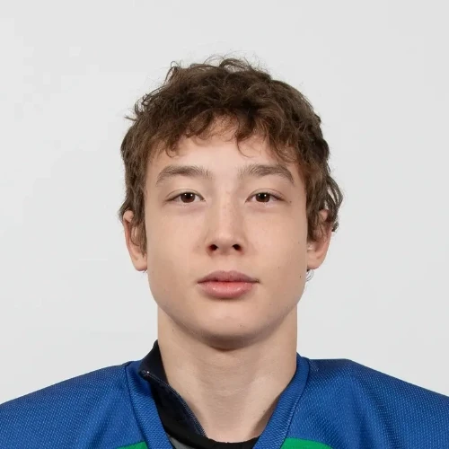 Gelmel Artem Evgenevich