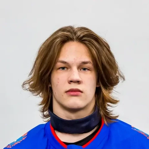 Gryaznov Artem Anatolevich