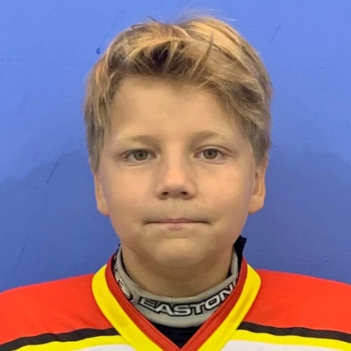 Patutkin Oleg Igorevich