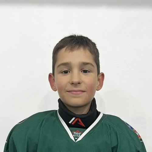 Alaev Danila Vitalevich