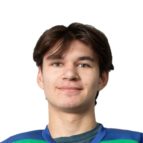 Shaihenurov Artur Denisovich