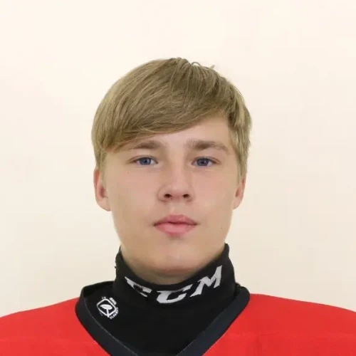 Balalaev Daniil Dmitrievich