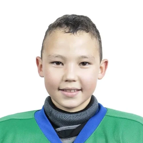 Gareev Timur Ramilevich